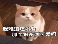 江苏天达电气有限公司