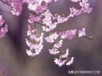江苏天达电气有限公司