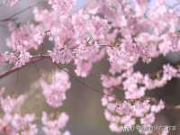 江苏天达电气有限公司
