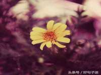 江苏天达电气有限公司