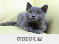 江苏天达电气有限公司