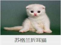 江苏天达电气有限公司