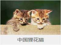 江苏天达电气有限公司