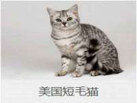 江苏天达电气有限公司
