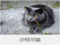 江苏天达电气有限公司