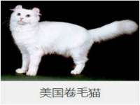 江苏天达电气有限公司
