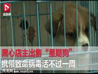 江苏天达电气有限公司