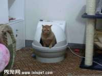 江苏天达电气有限公司
