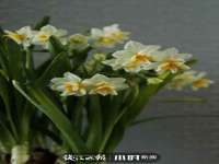 江苏天达电气有限公司