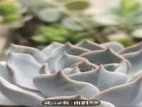 江苏天达电气有限公司