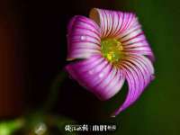 江苏天达电气有限公司