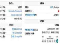 江苏天达电气有限公司