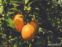 江苏天达电气有限公司