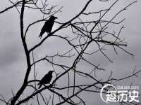江苏天达电气有限公司