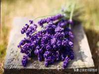 江苏天达电气有限公司