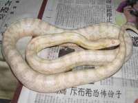 江苏天达电气有限公司