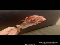 江苏天达电气有限公司
